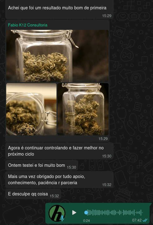 Primeiro resultado de um grower da HG
