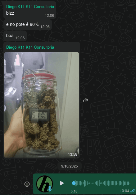 Buds curando no pote de vidro