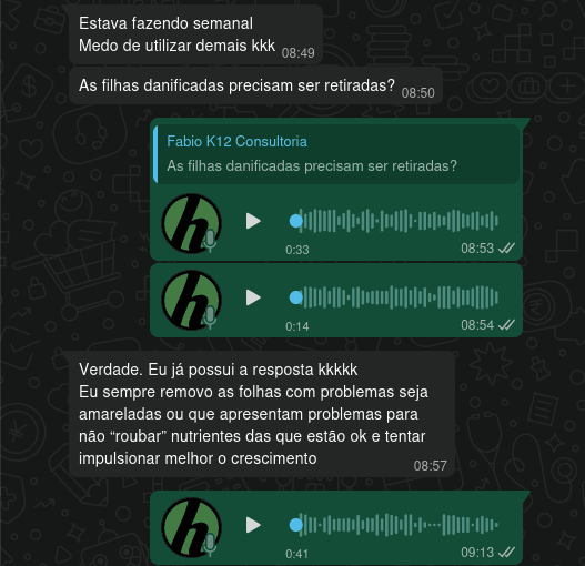 Sessão de dúvidas sobre folhas